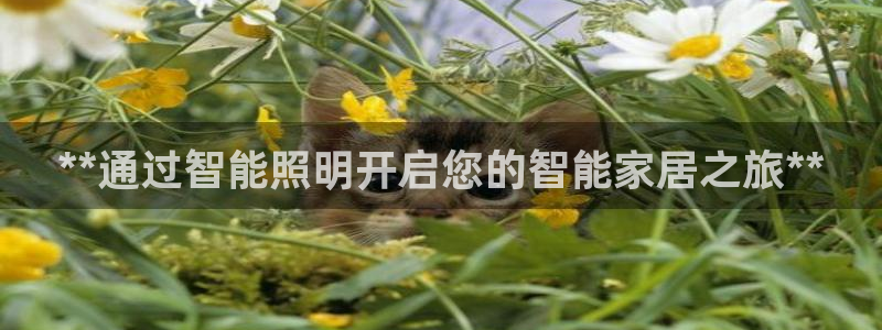 云顶集团高管