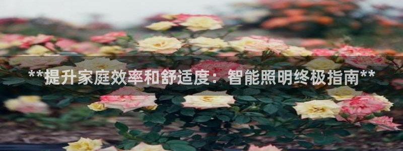 云顶国际商业广场可以充电动车吗