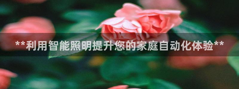 云顶国际百度百科下载