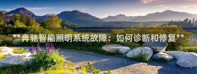 云顶国际服s6