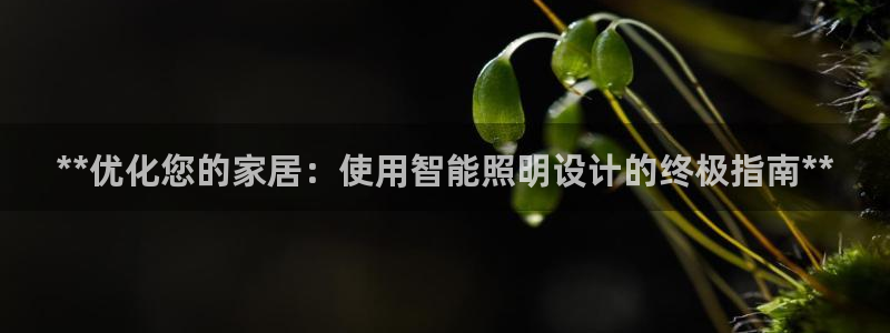 云顶国际物流官网电话