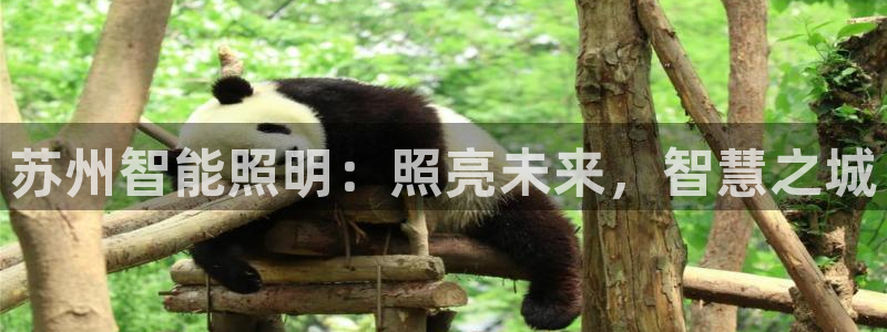 云顶国际区块链怎么样