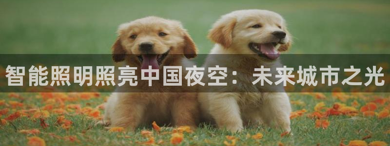 云顶国际是真实网站吗?