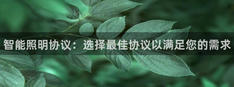 云顶国际平台是真的吗