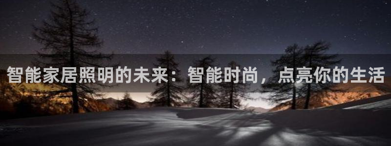 云顶国际物流官网