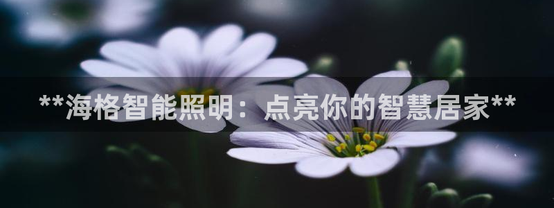 云顶集团中国公司