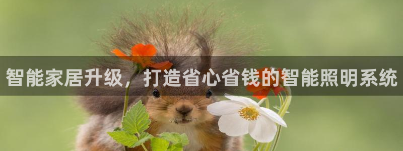 云顶国际装饰设计公司