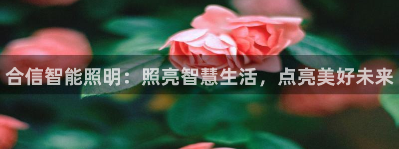 云顶国际商业广场商户