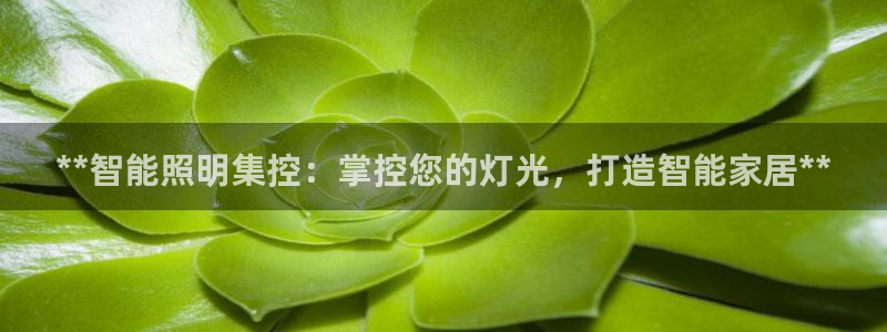 云顶国际服什么时候更新s8