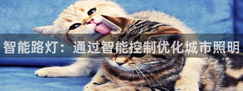 云顶国际俱乐部