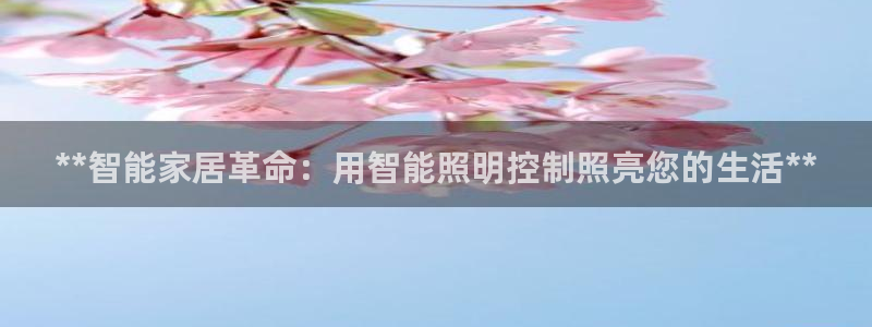 云顶集团公司简介