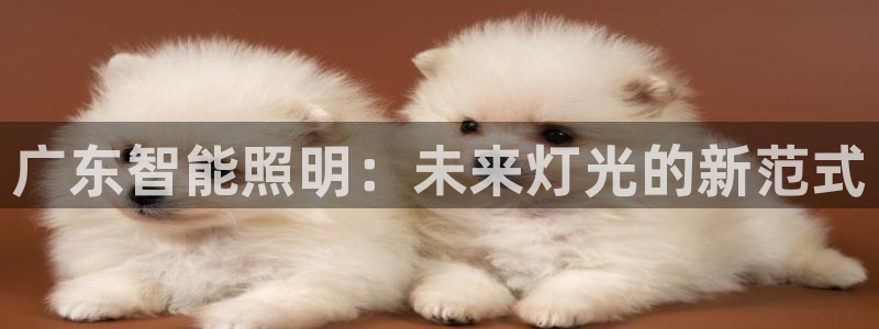 云顶集团公司电话