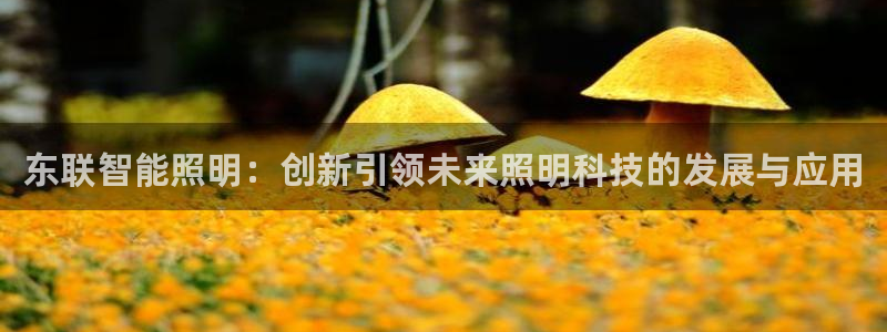 云顶国际休闲会所