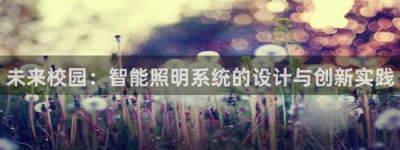 云顶国际公馆二手房