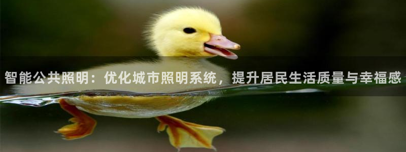 临沂云顶国际
