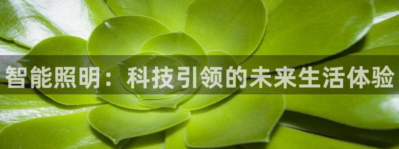 云顶国际高中学费多少一年