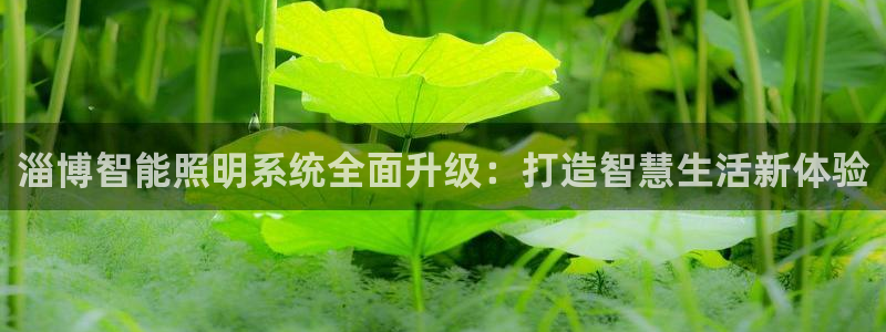 云顶12301网站