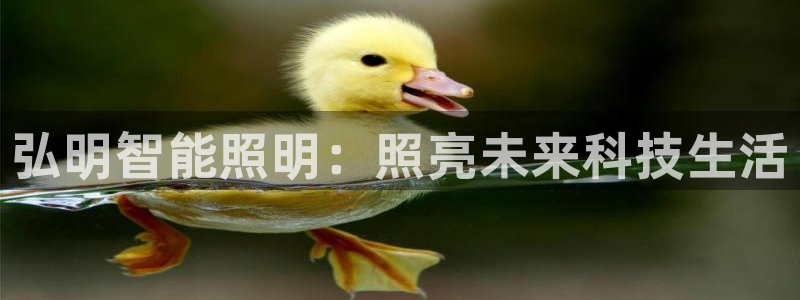 云顶国际物流电话