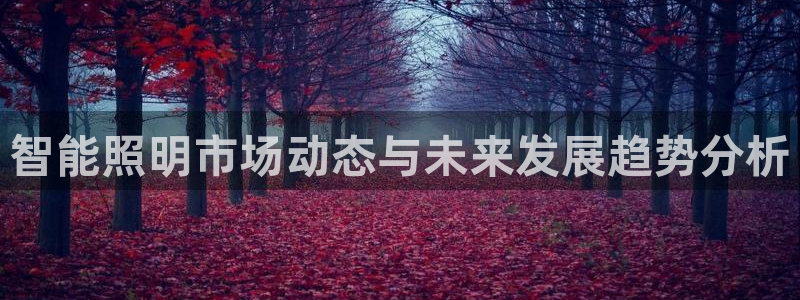 云顶dj