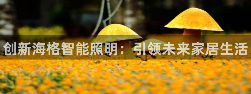云顶国际集团发展有限公司