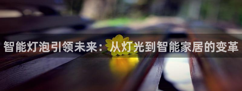 云顶国际测试服
