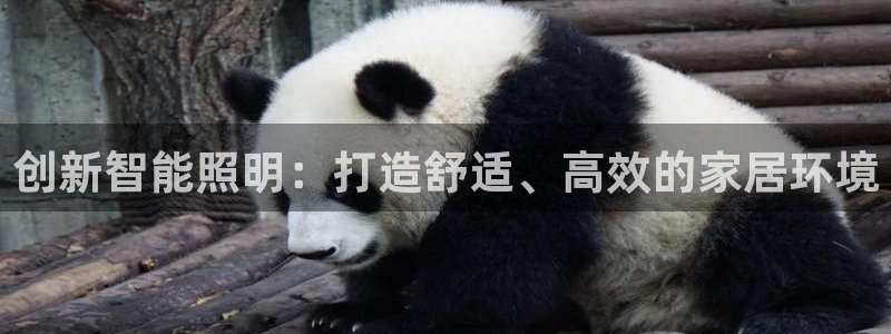 云顶国际是真实网站吗安全吗：创新智能照明