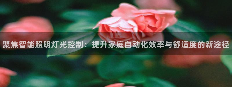 云顶国际软件官网下载：聚焦智能照明灯光控