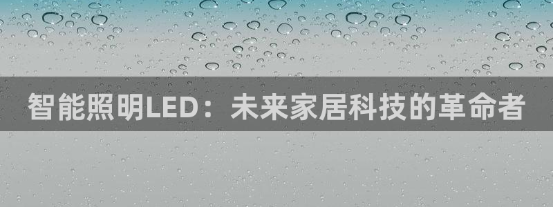 云顶国际是做什么的公司