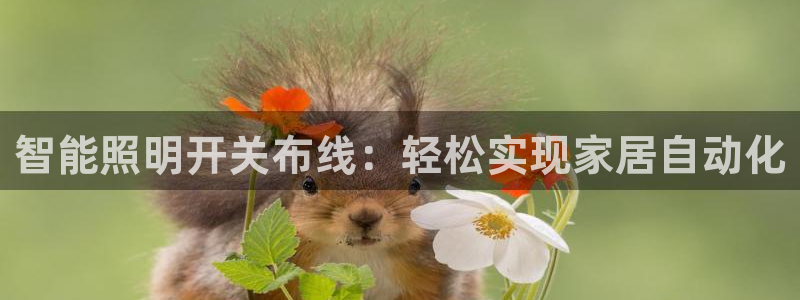 云顶国际物流官网