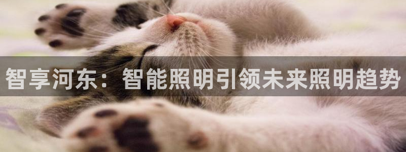 云顶国际俱乐部 淮北