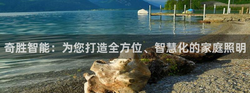 云顶国际服版本