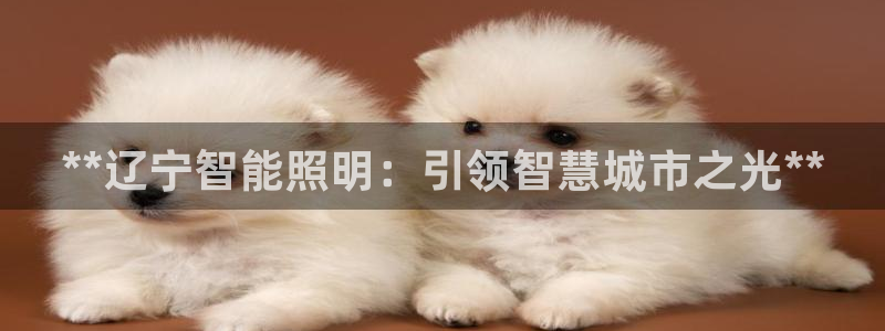 云顶集团网投领头