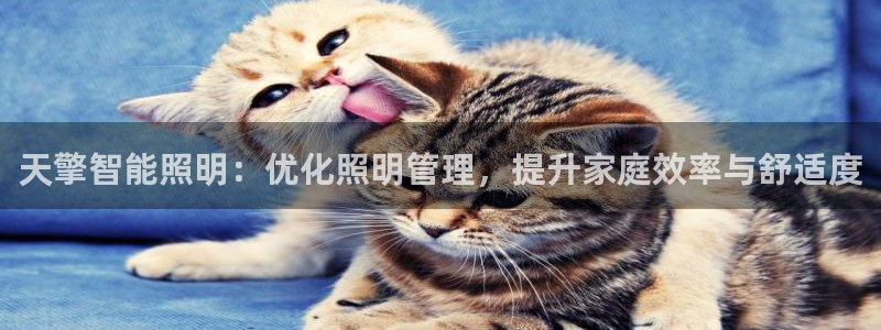 云顶电竞app怎么样：天擎智能照明：优化