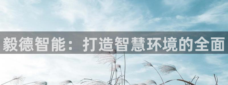 云顶国际广场房价：毅德智能：打造智慧环境