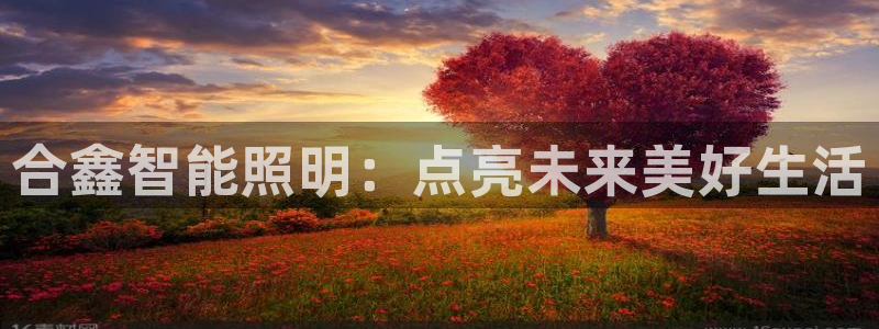 2418云顶：合鑫智能照明：点亮未来美好