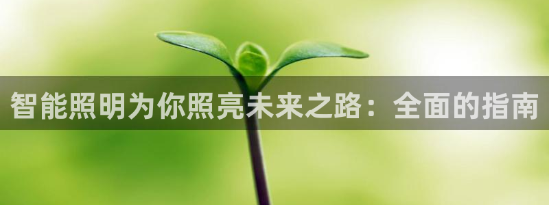 云顶国际官网下载手机版