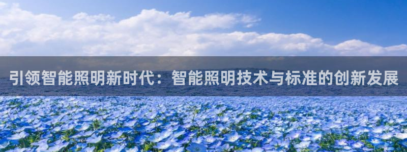 云顶国际投资有限公司怎么样：引领智能照明