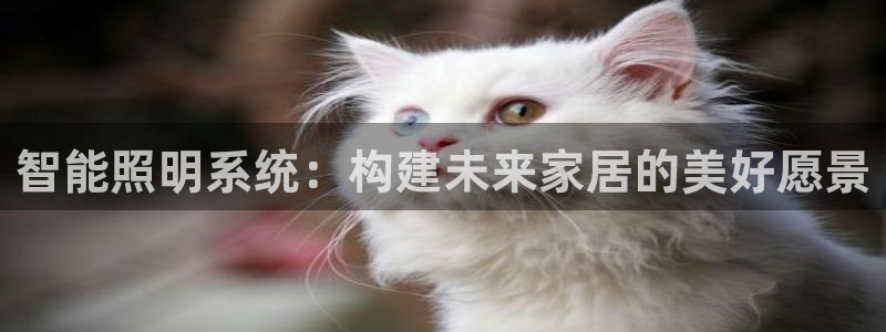 云顶国际百度百科下载