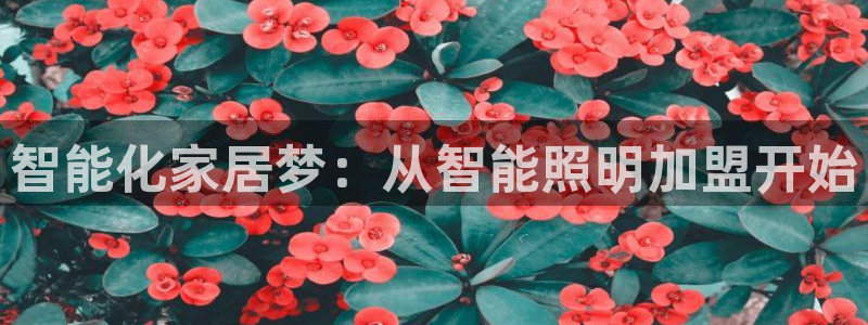 云顶国际平台怎么样